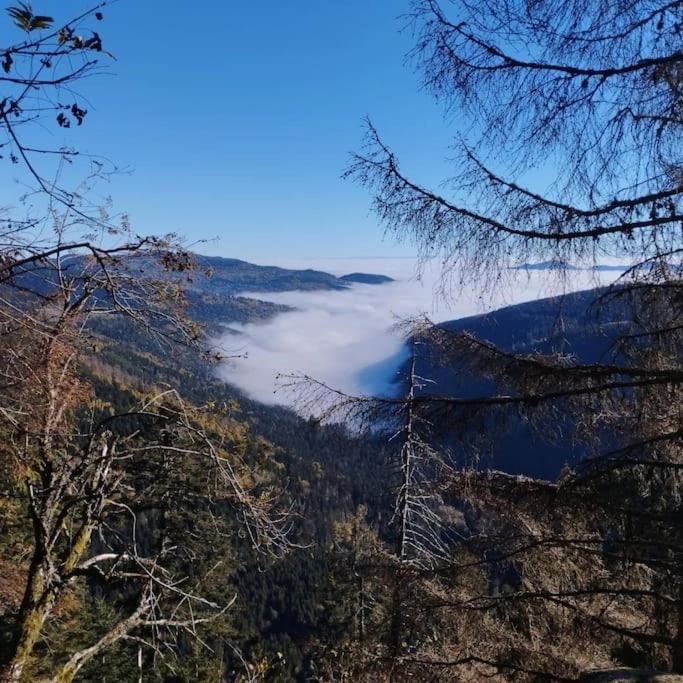 Aux Balcons De La Vallee Soultzeren 外观 照片